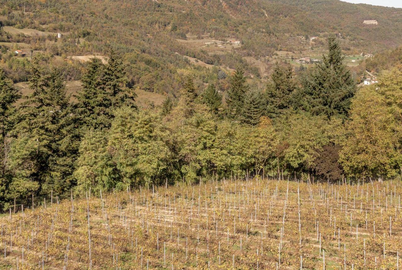 Tenuta Pian D'Attesio - Agriturismo Castelletto Soprano Экстерьер фото