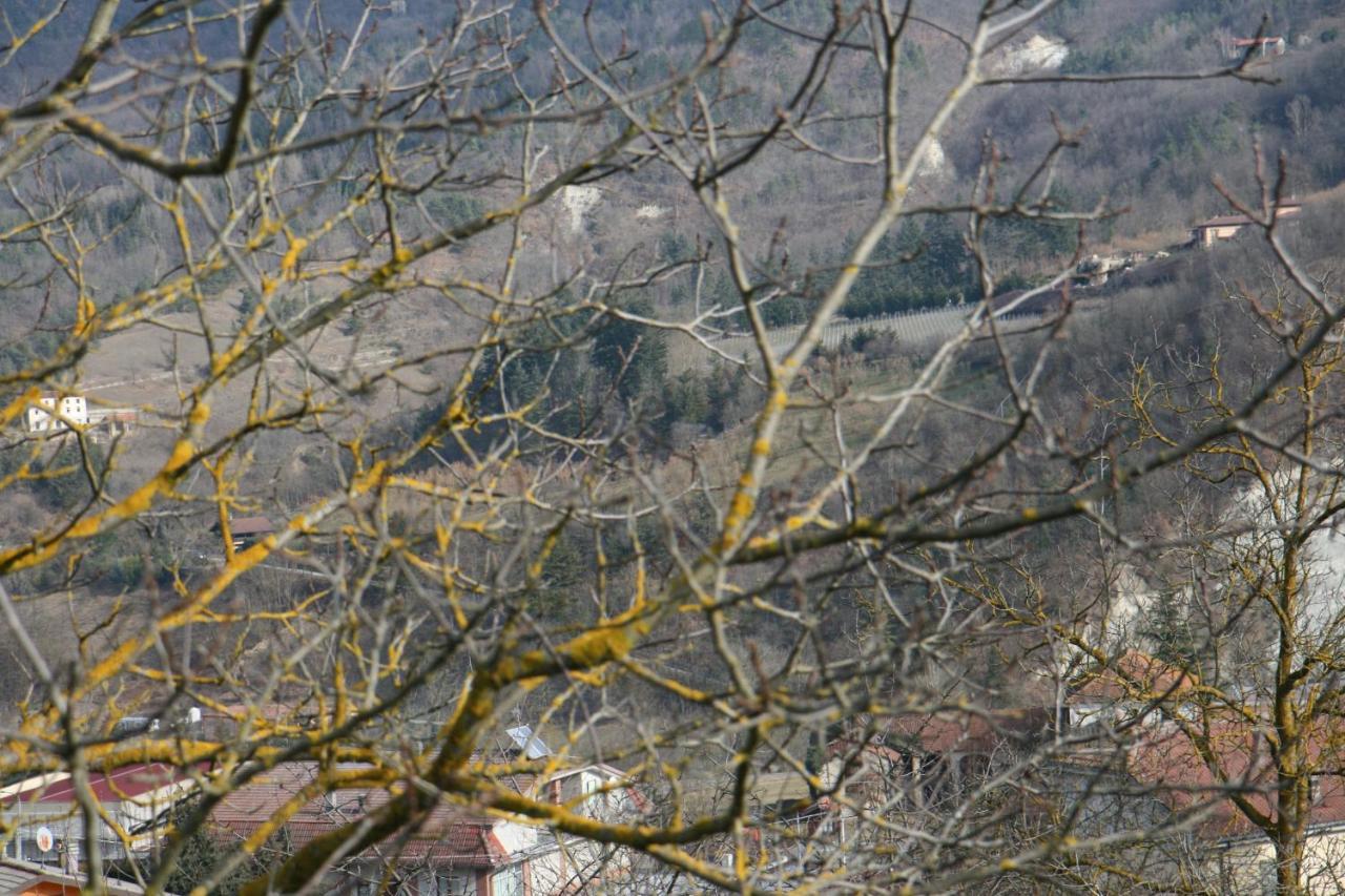 Tenuta Pian D'Attesio - Agriturismo Castelletto Soprano Экстерьер фото